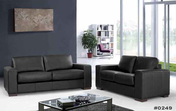 Sofa and Daybed for Comfortable Seating and Sleeping