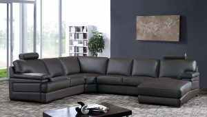 Brown Sectional Couch