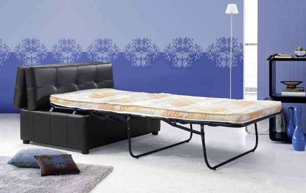 Sofa On Bed Pull Out Sleeper
