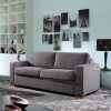 Sleeper Sofa Queen