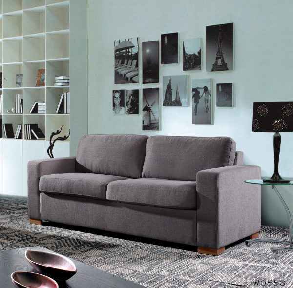 Sleeper Sofa Queen