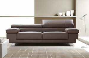 Brown Leather Couches