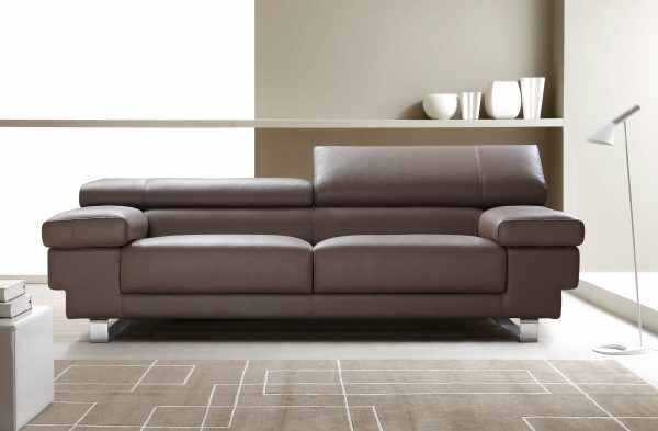 Brown Leather Couches