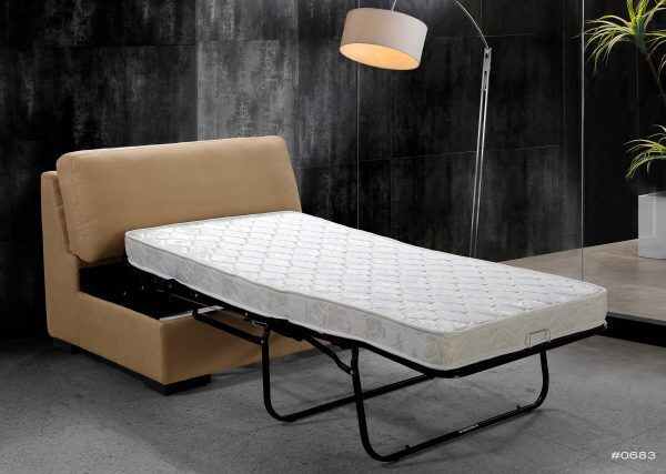 Daybed Couch Sleeper Sofa