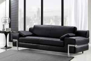 Leather Couch Sofa