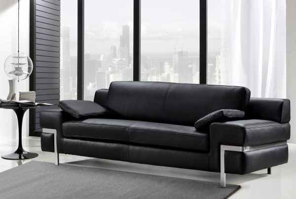 Leather Couch Sofa