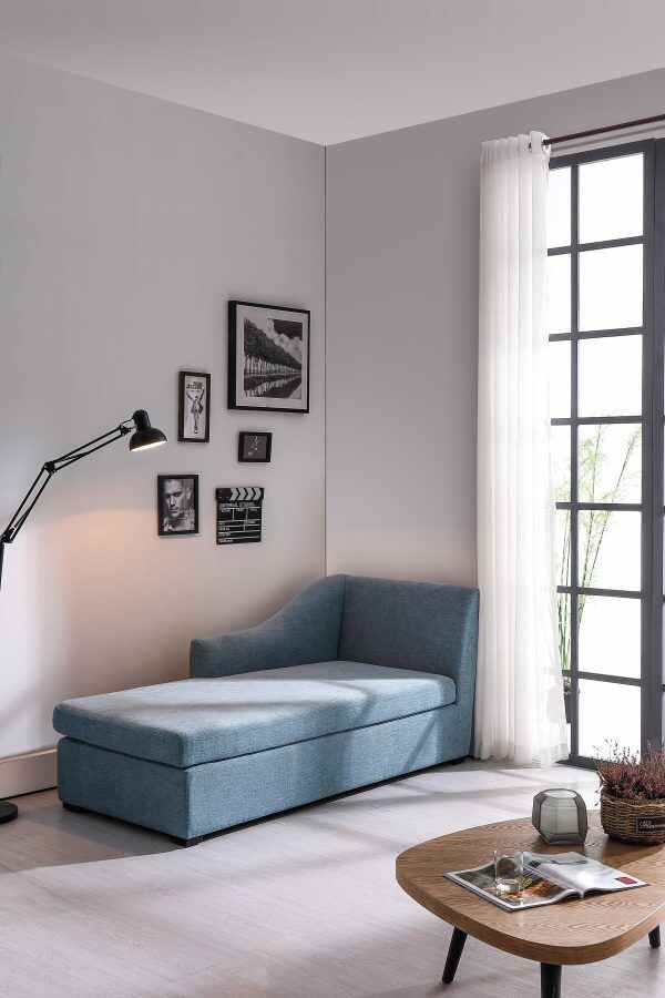 Day Beds Sofa Bed Sleeper