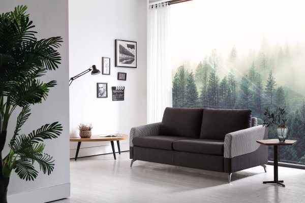 Fantastic Sofa Bed for Comfort and Versatility
