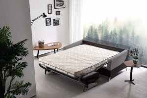 Fantastic Sofa Bed