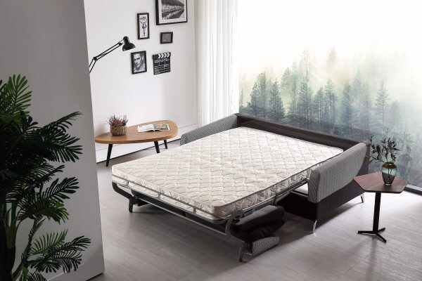 Fantastic Sofa Bed