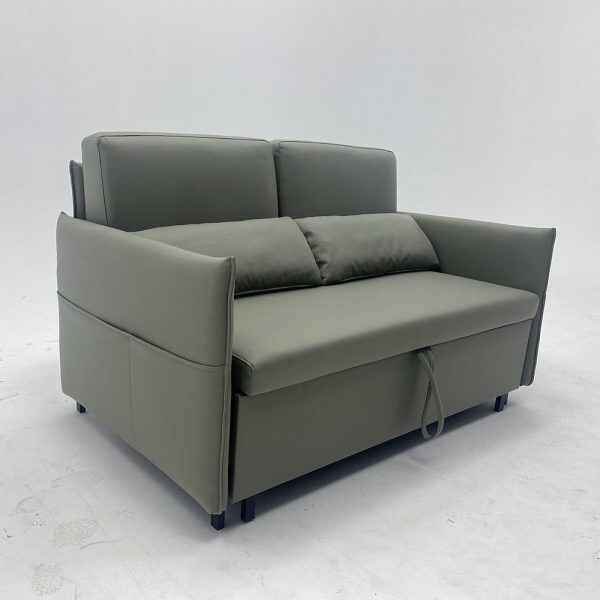 Single Bed with Pull Out Sofa for Small Apartments