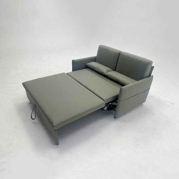 Single Bed with Pull Out Sofa for Small Apartments