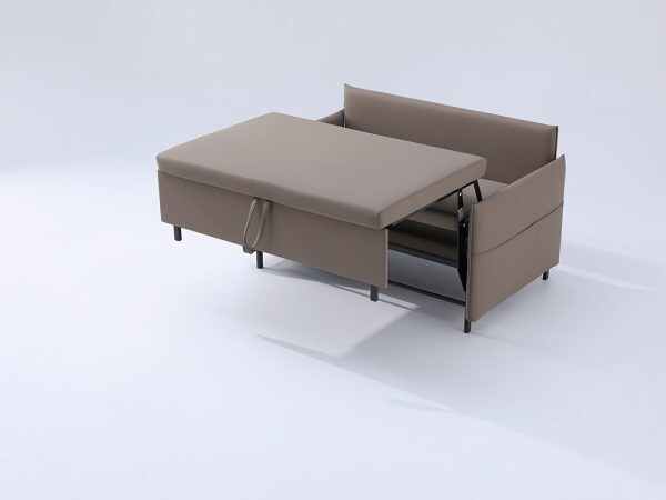 Single Bed with Pull Out Sofa for Small Apartments