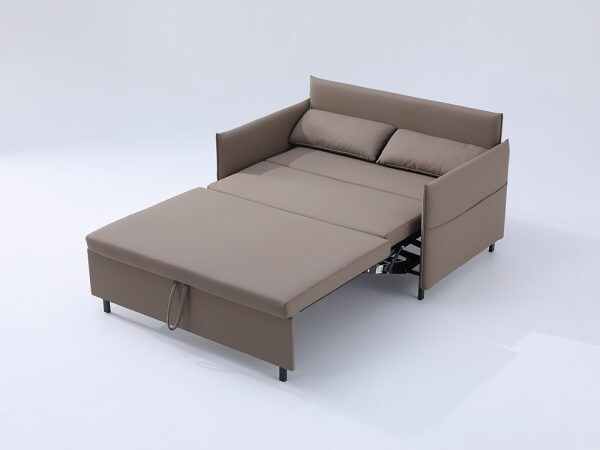 Single Bed with Pull Out Sofa for Small Apartments