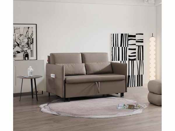 Single Bed with Pull Out Sofa