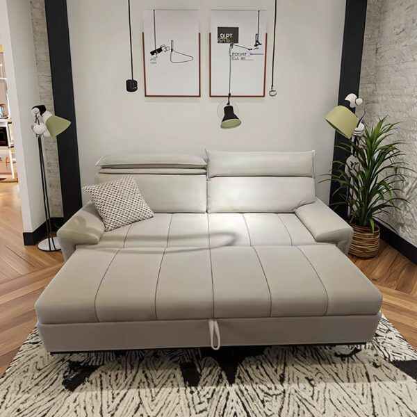 Sofa Cum Bed
