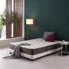 Inflatable Mattress