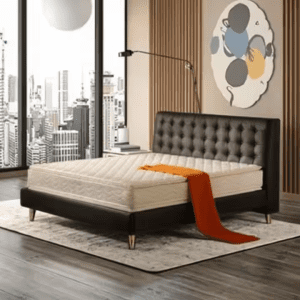Queen Bed Mattress