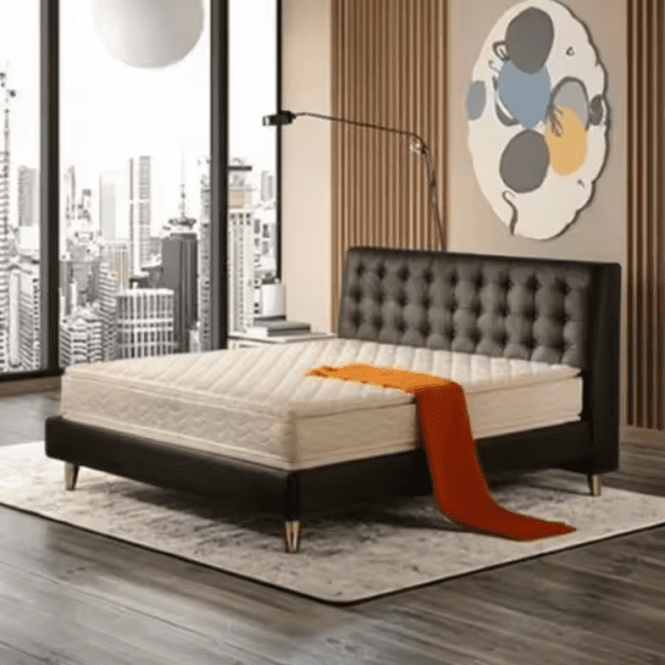 Queen Bed Mattress