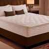 Foam Memory Foam Mattress Toppers