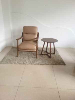 Leather Arm Chair
