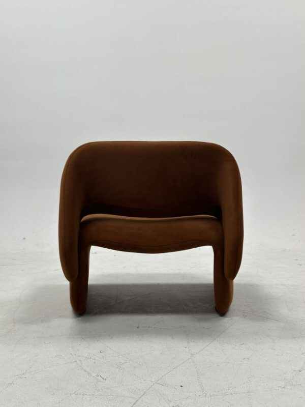 Elegant Lounge Chair for Modern Living Room