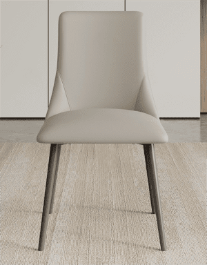 Dining Table Chair