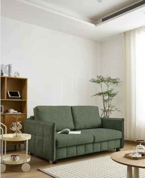 Sofabed with Pull Out Mattress Design