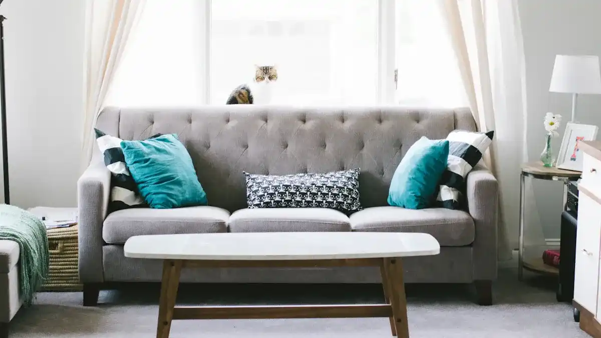 How to Choose a Sofa