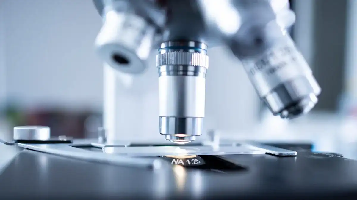 Evaluate Mattress Quality and Durability